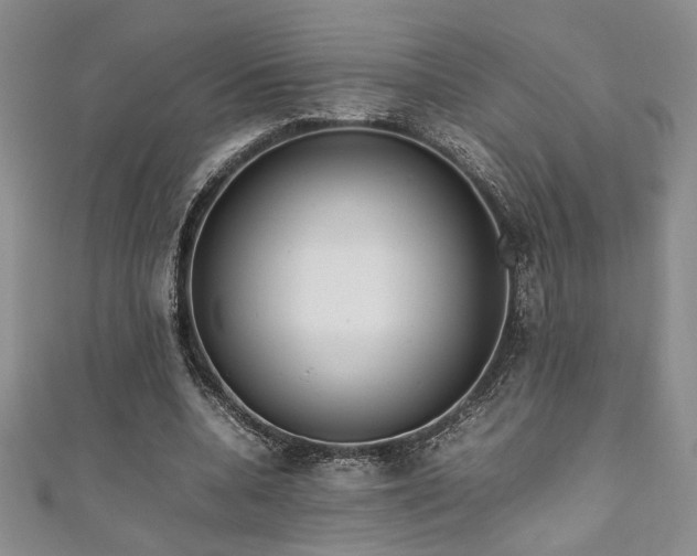 X0000111190536200907011414