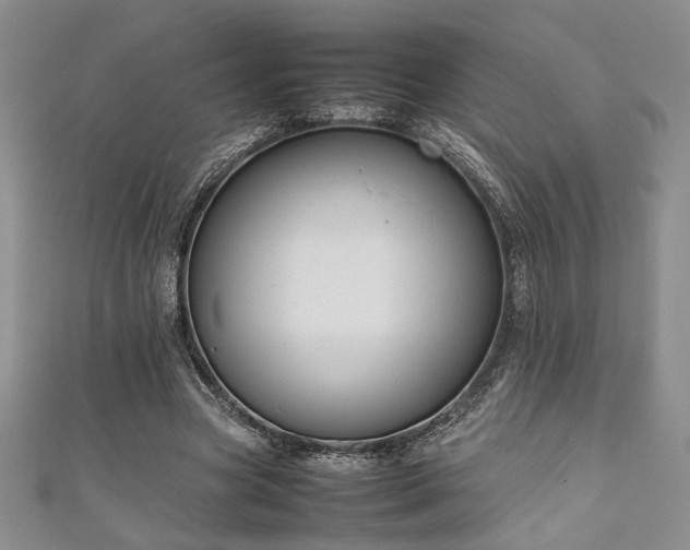 X0000111190537200907011414