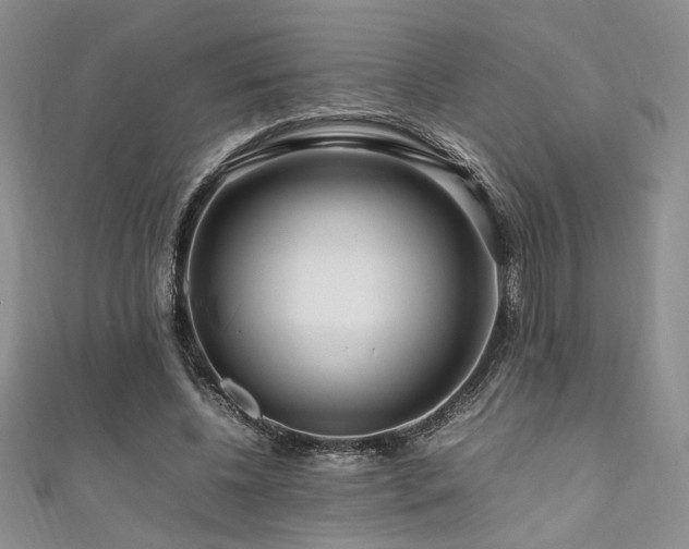 X0000111190540200907011414