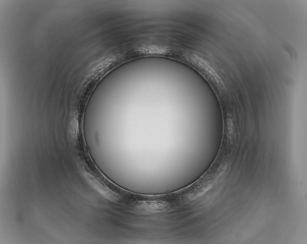 X0000111190541200907011414