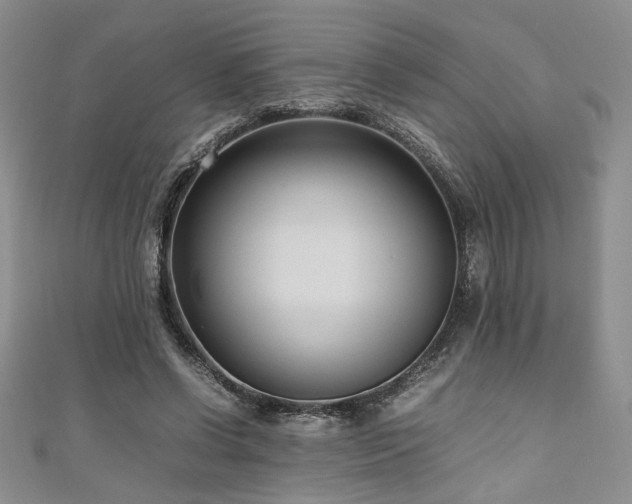 X0000111190542200907011414