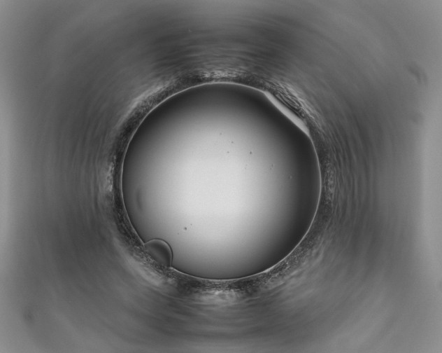 X0000111190543200907011414