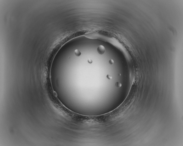 X0000111190544200907011414