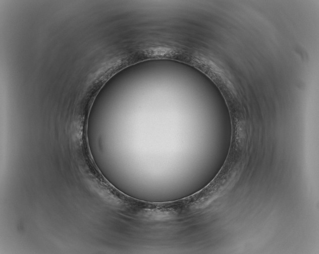 X0000111190545200907011414