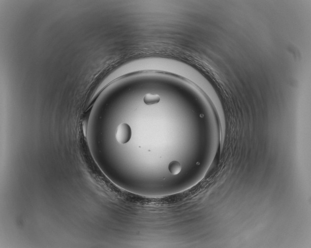 X0000111190546200907011414