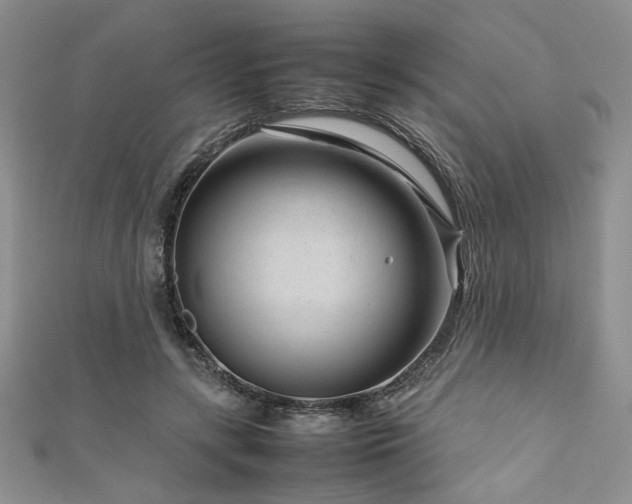 X0000111190547200907011414