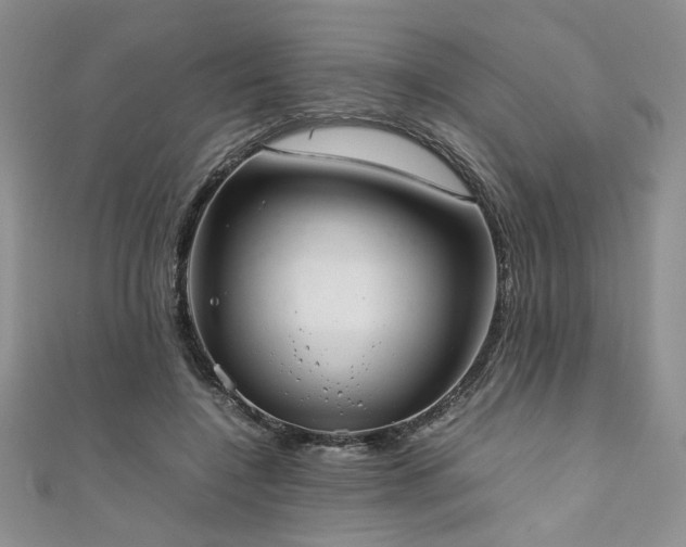 X0000111190548200907011414