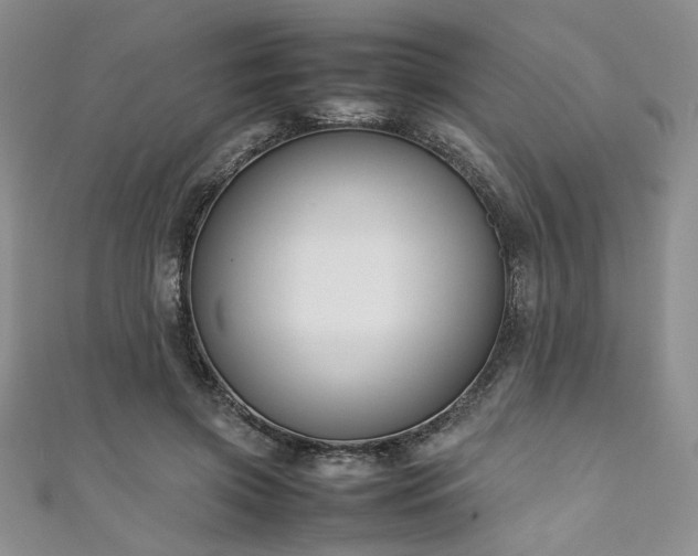 X0000111190549200907011414