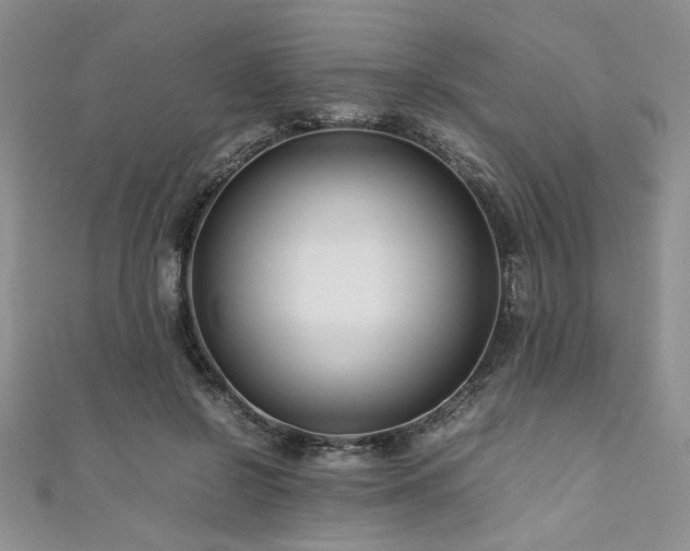 X0000111190550200907011414