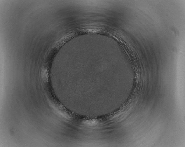 X0000111190551200907011414