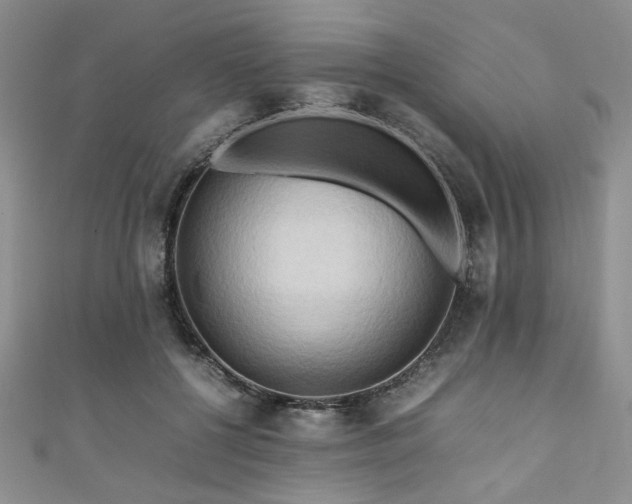 X0000111190552200907011414