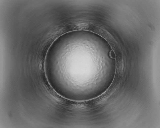 X0000111190553200907011414