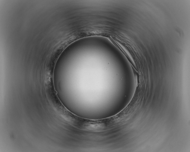 X0000111190555200907011414