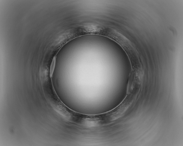 X0000111190556200907011414