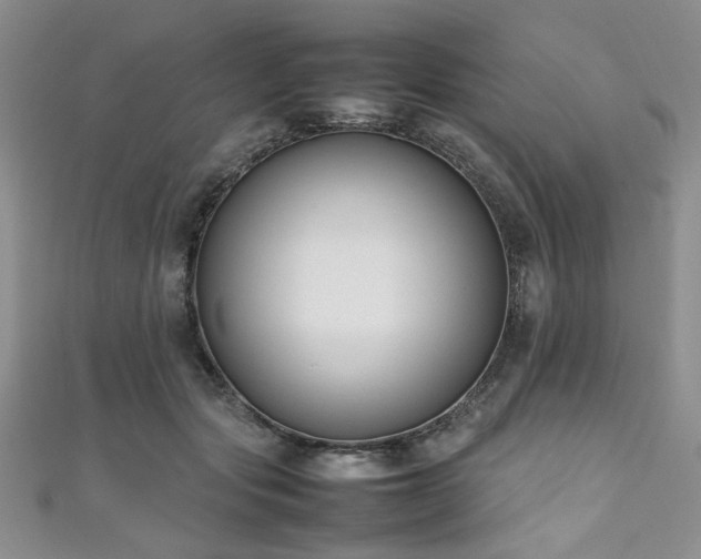 X0000111190557200907011414