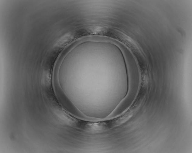 X0000111190558200907011414