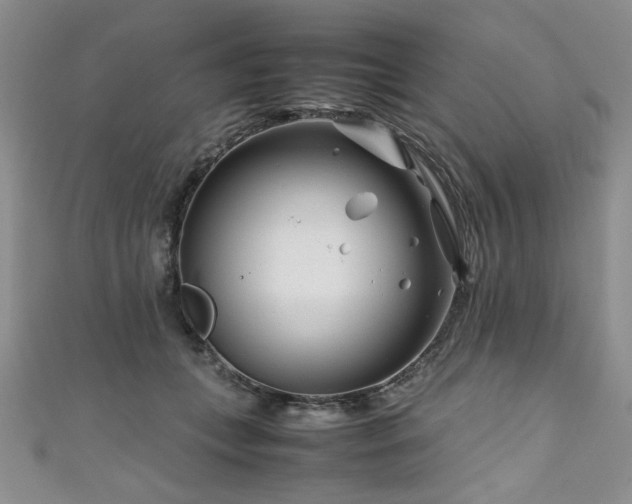 X0000111190559200907011414