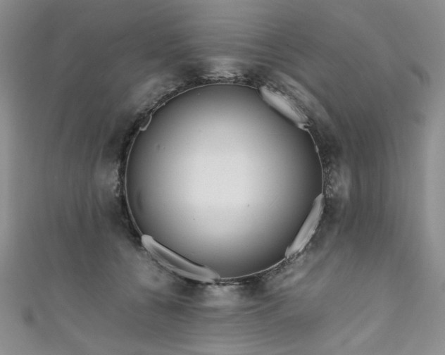 X0000111190560200907011414