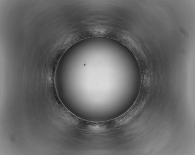 X0000111190561200907011414