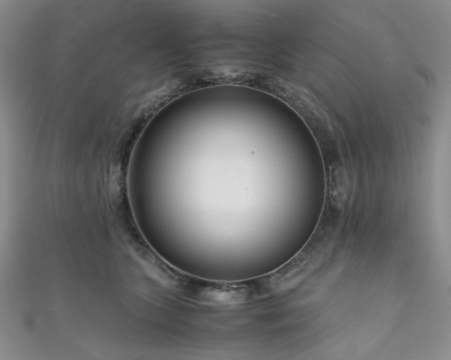 X0000111190563200907011414