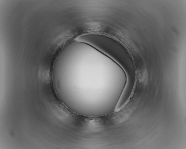 X0000111190564200907011414