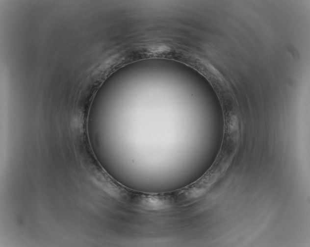 X0000111190565200907011414