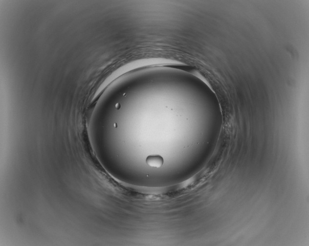 X0000111190566200907011414