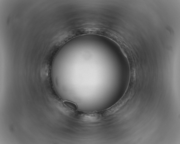 X0000111190567200907011414