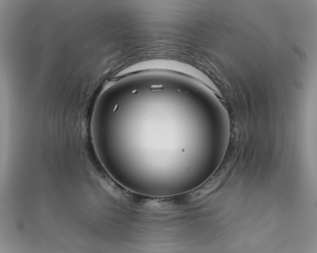 X0000111190568200907011414