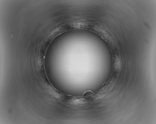 X0000111190569200907011414