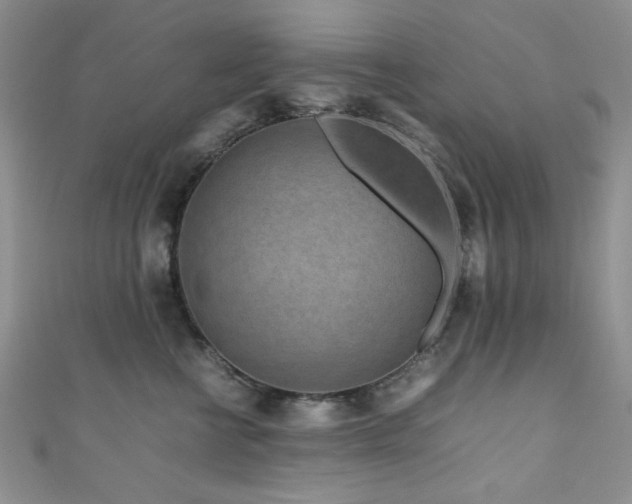 X0000111190570200907011414