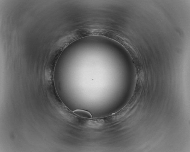 X0000111190571200907011414