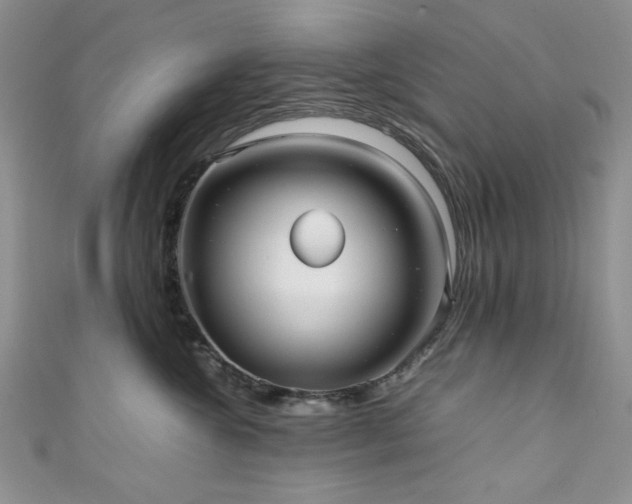 X0000111190572200907011414