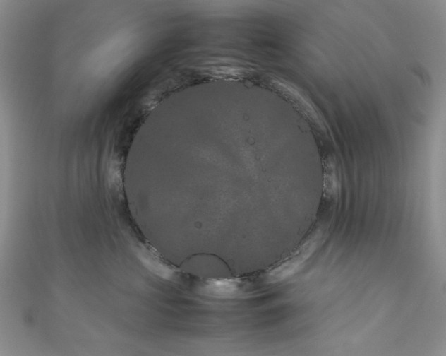 X0000111190573200907011414