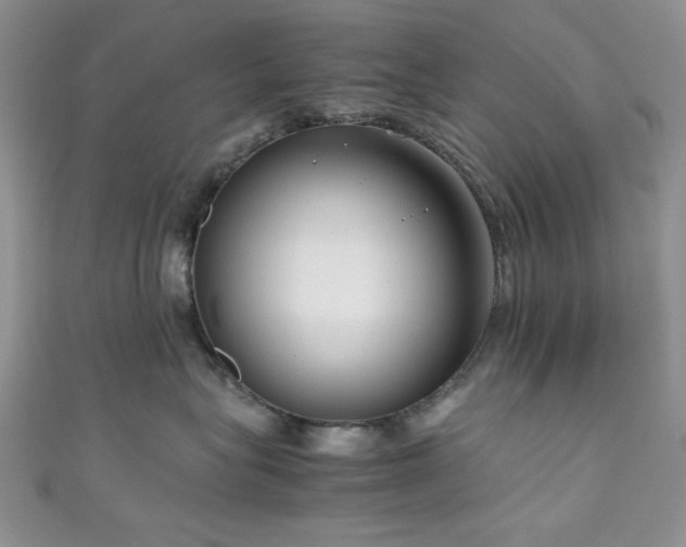 X0000111190575200907011414