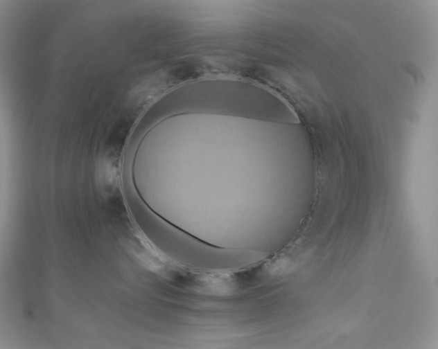 X0000111190576200907011414