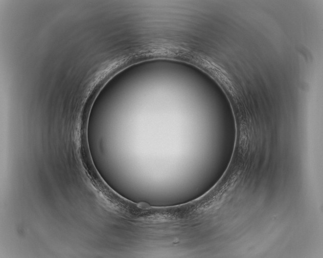 X0000111190578200907011413