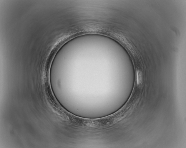 X0000111190579200907011413