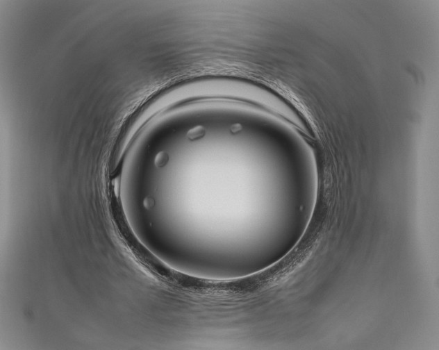 X0000111190581200907011413