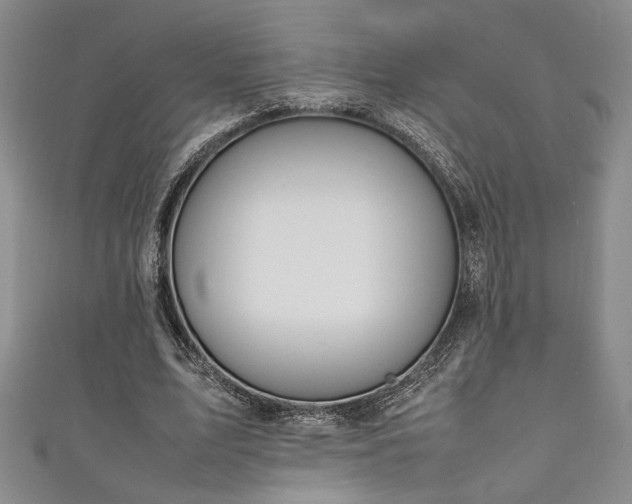 X0000111190583200907011413