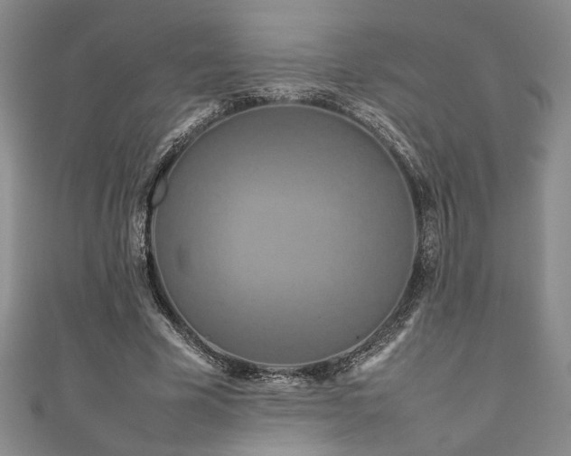 X0000111190585200907011413