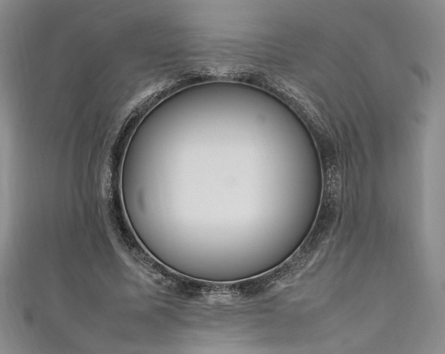 X0000111190587200907011413