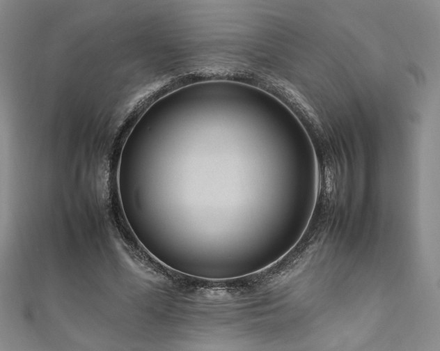 X0000111190588200907011413