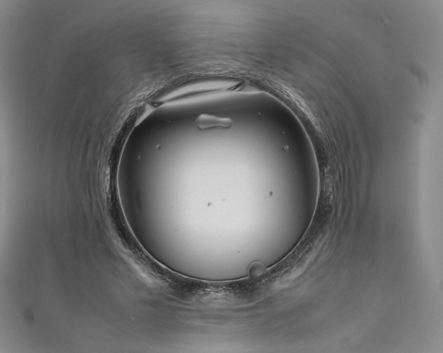 X0000111190589200907011413