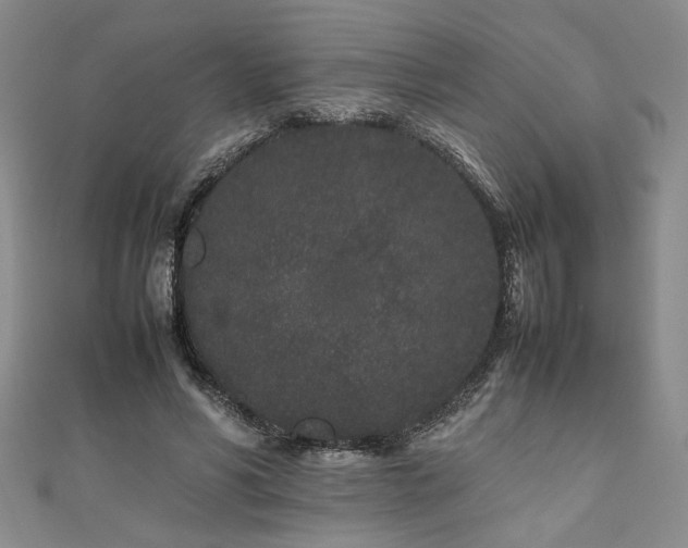 X0000111190590200907011413