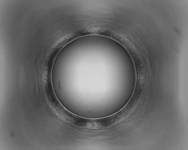 X0000111190591200907011413