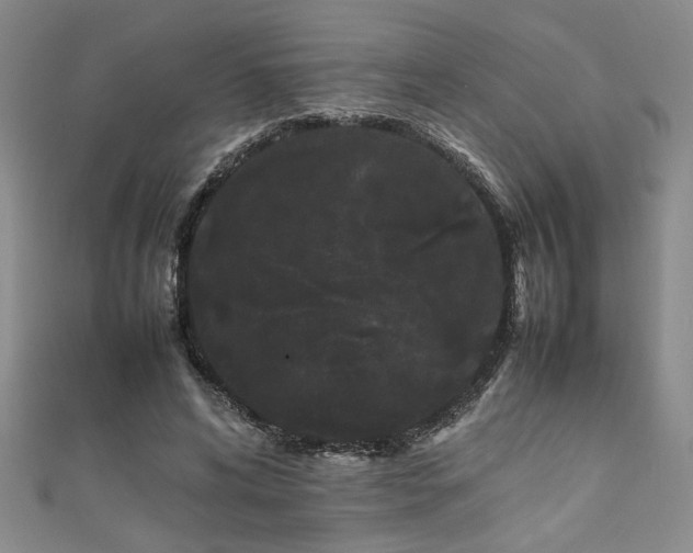 X0000111190592200907011413