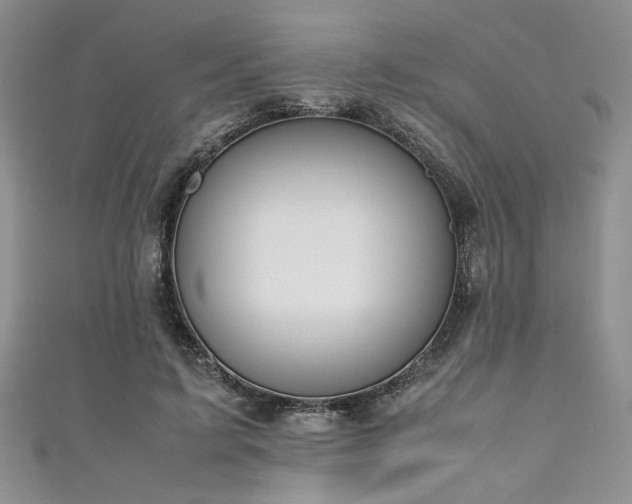 X0000111190595200907011413