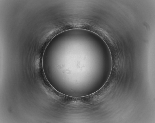 X0000111190596200907011413