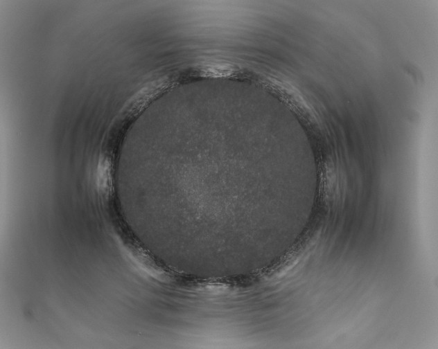 X0000111190598200907011413